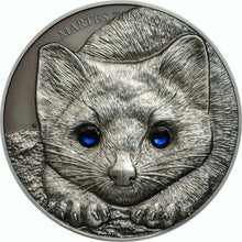 Load image into Gallery viewer, Mongolia 2017 SABLE Wildlife Protection 1 oz Silver Coin